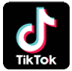 TikTok icon